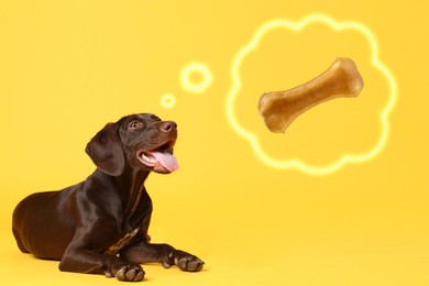 Image of Cute German Shorthaired Pointer dog dreaming about tasty treat on yellow background. Neon thought cloud with chew bone