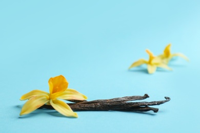 Photo of Vanilla sticks and flowers on blue background. Space for text