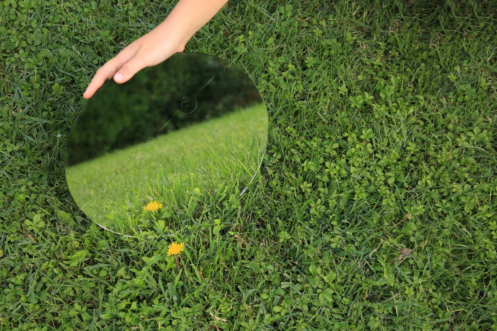 Photo of Girl holding round mirror reflecting green grass and dandelion, closeup