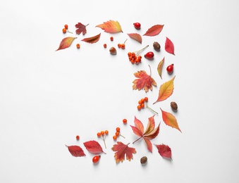 Beautiful composition with autumn leaves on white background, flat lay. Space for text