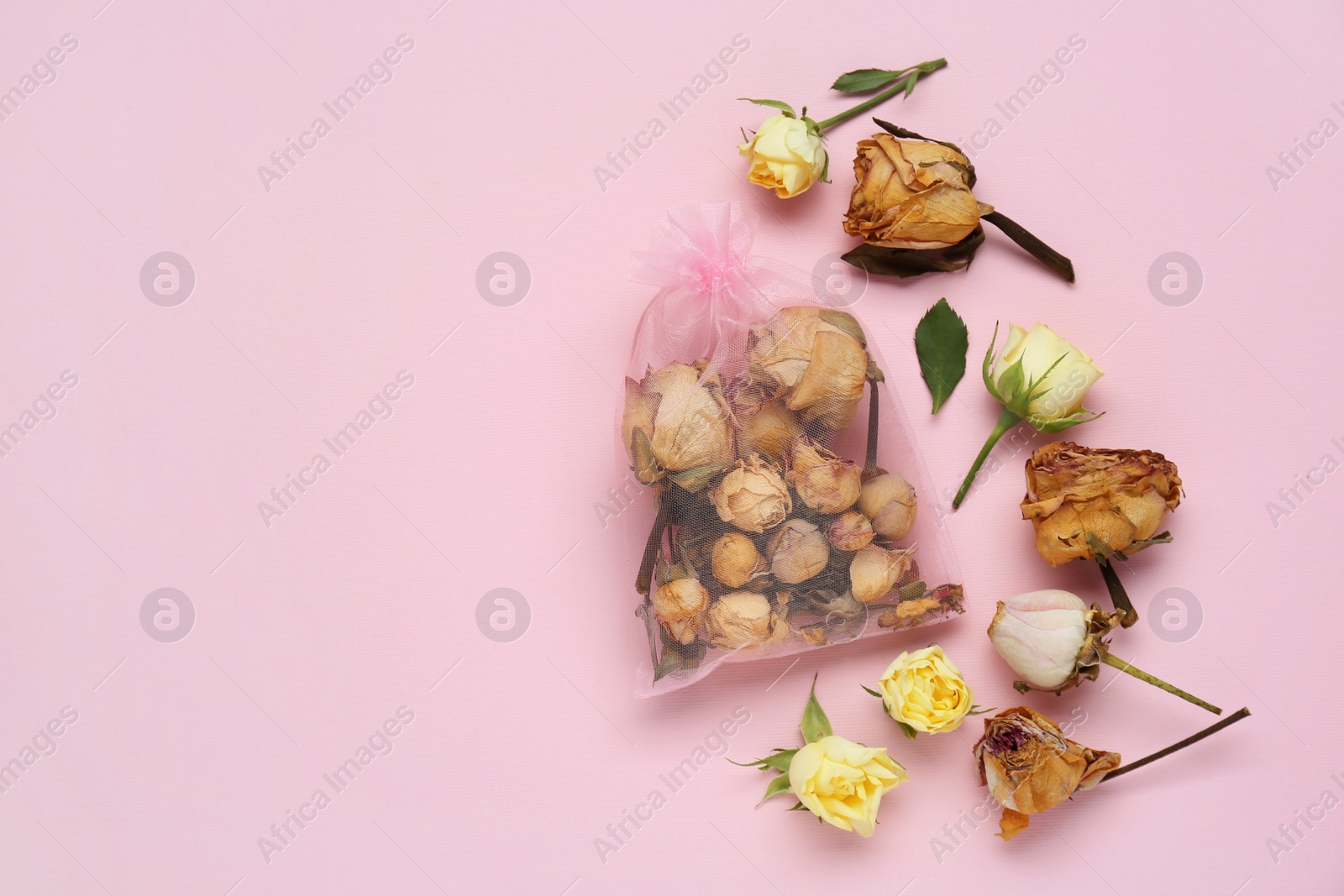 Photo of Scented sachet with dried roses on pink background, flat lay. Space for text