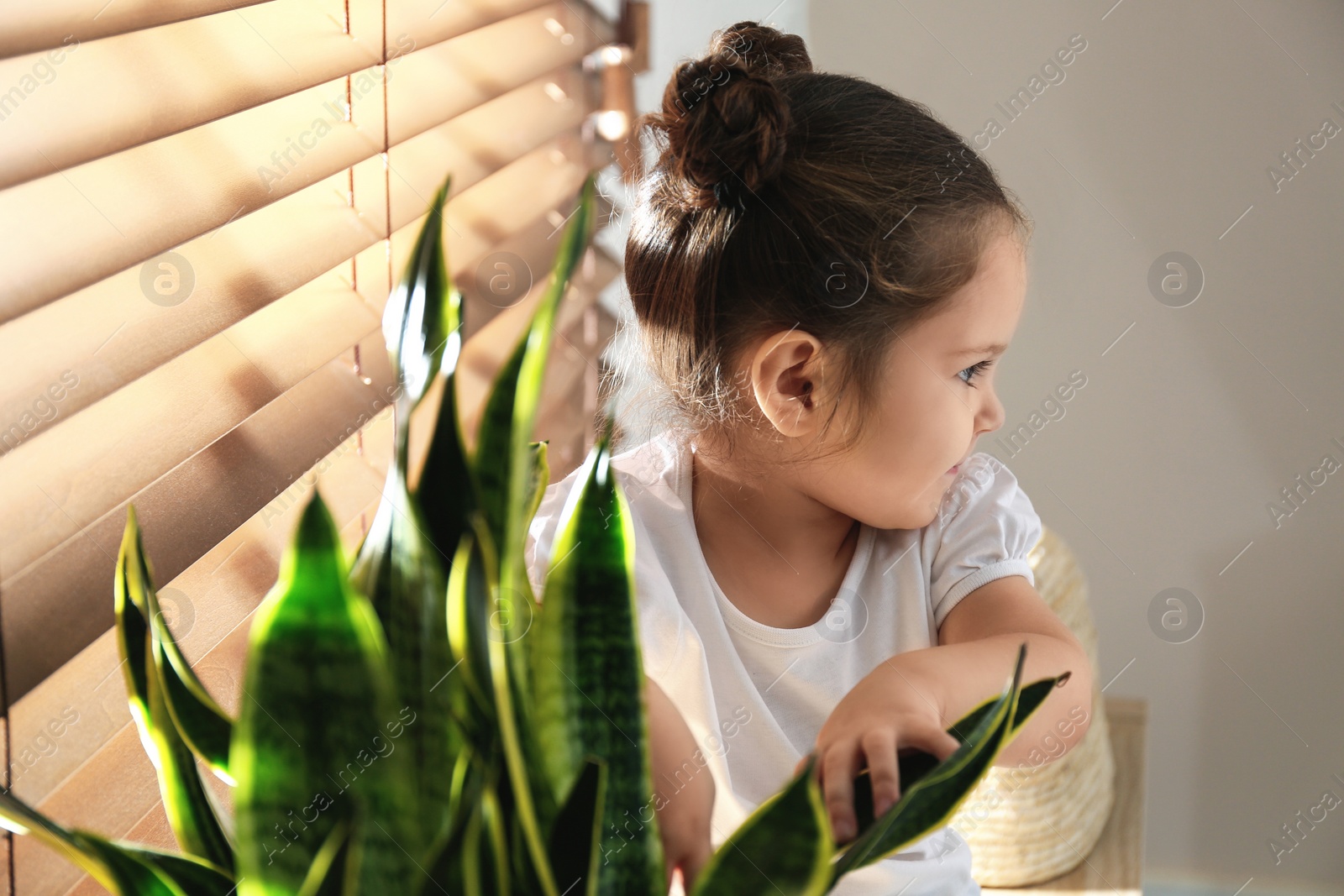 Photo of Little girl playing with houseplant at home