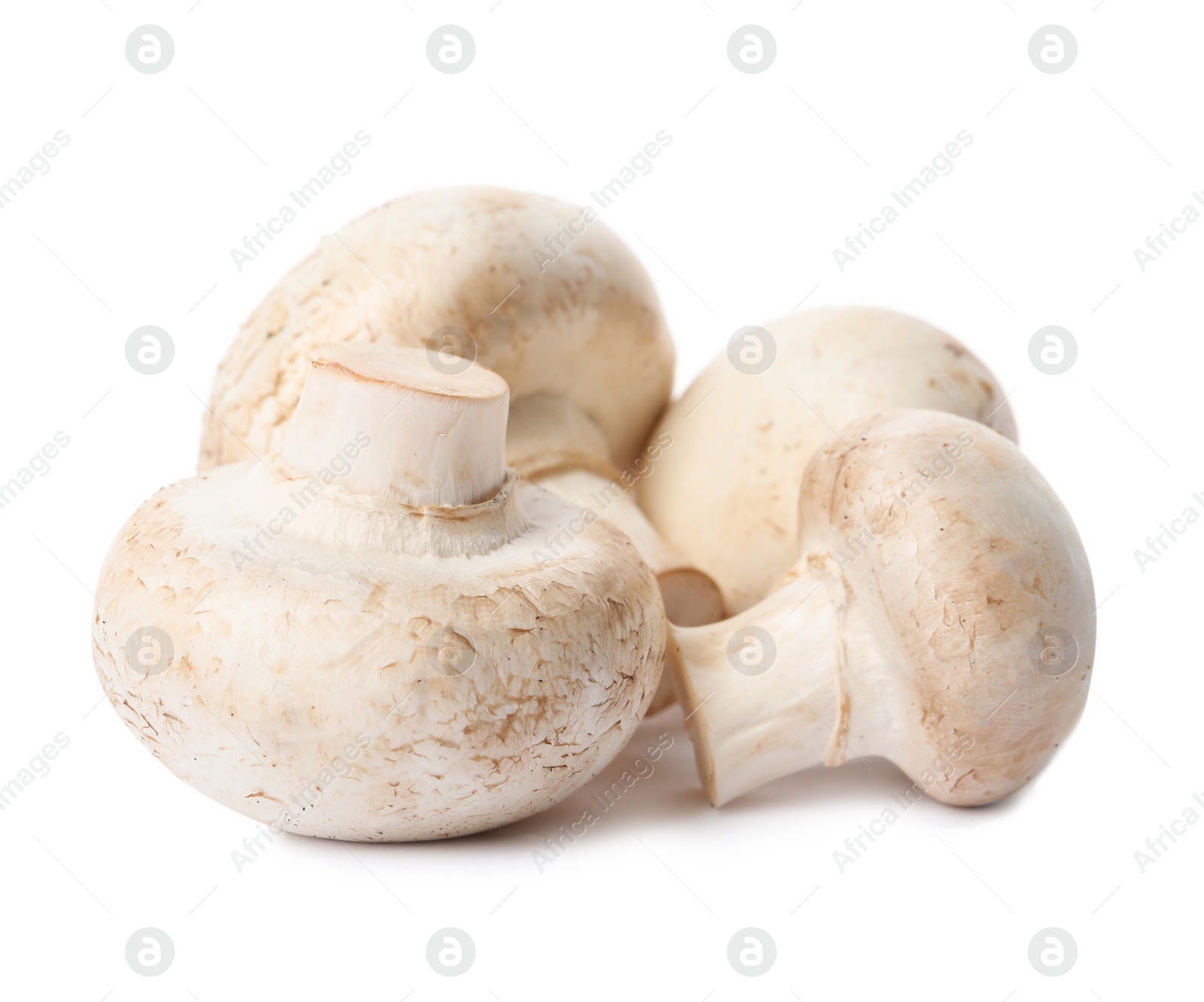 Photo of Fresh champignon mushrooms isolated on white. Healthy food