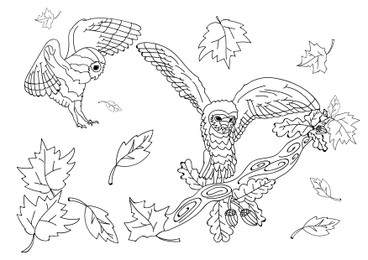 Illustration of Cute owls and leaves on white background, illustration. Coloring page 