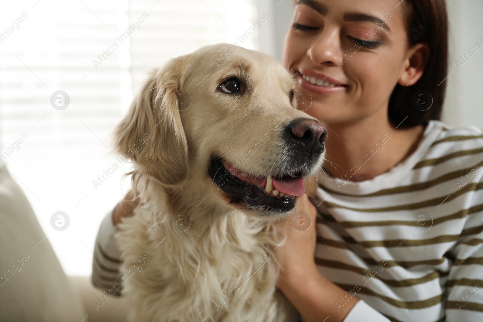 Photo of Young woman and her Golden Retriever on sofa at home. Adorable pet