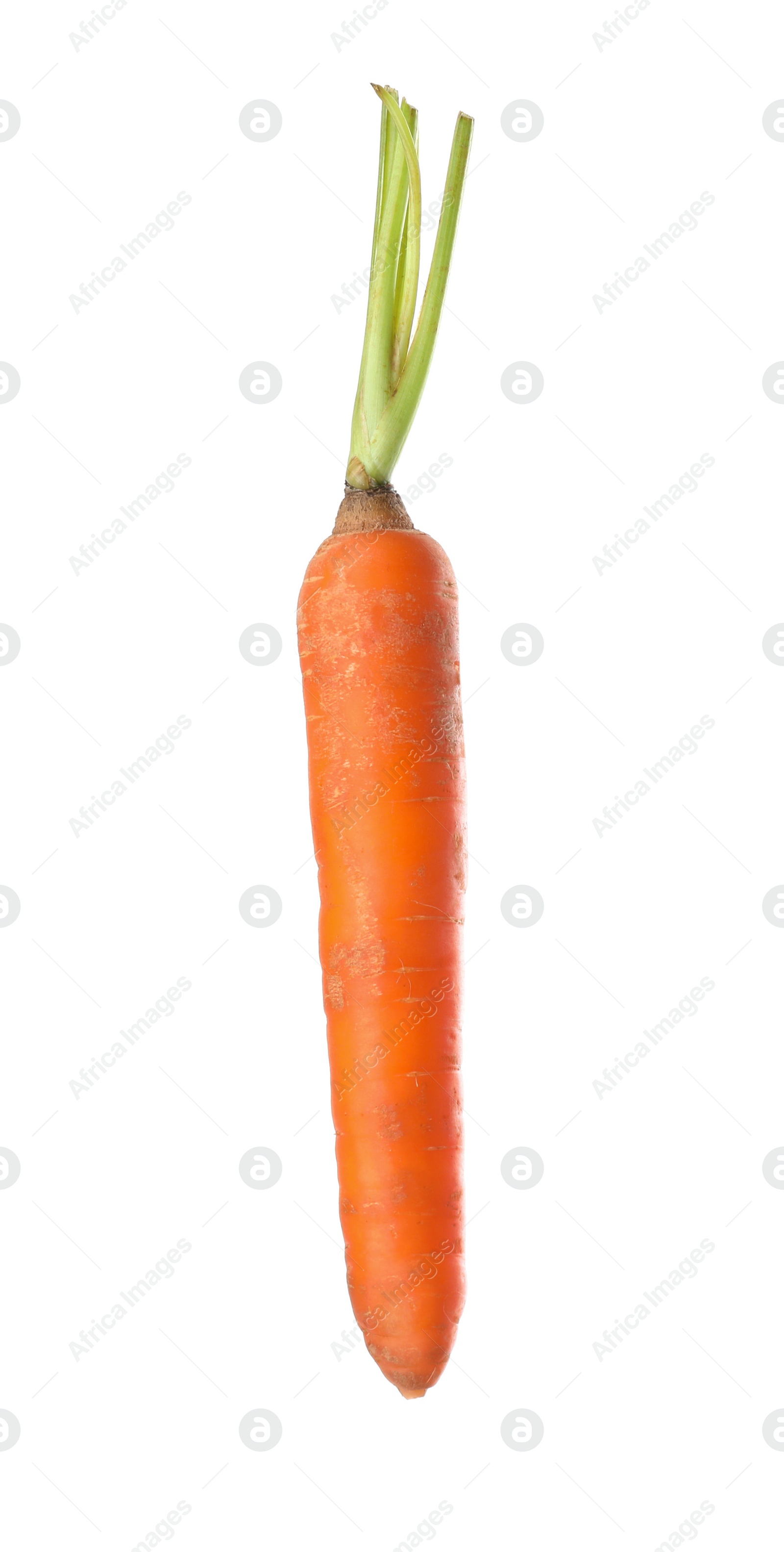 Fresh ripe juicy carrot isolated on white Photo of Fresh ripe juicy carrot isolated on white