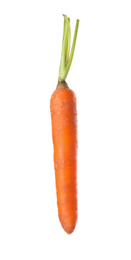 Photo of Fresh ripe juicy carrot isolated on white