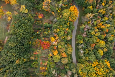 Aerial view of beautiful autumn park with path
