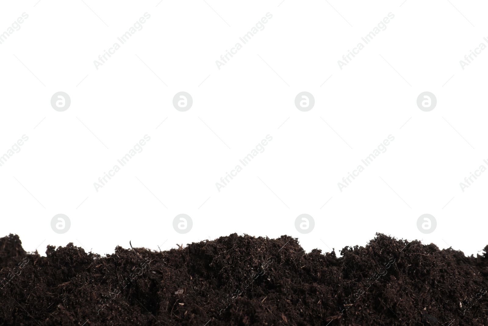 Photo of Layer of fresh soil isolated on white. Gardening time