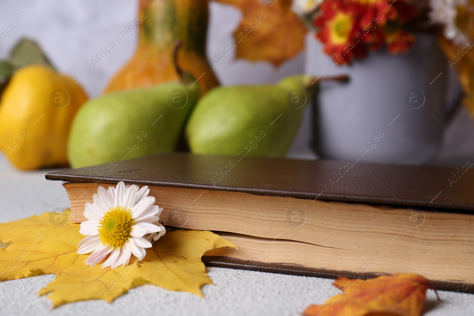 Photo of Book with autumn leaf and chamomile flower as bookmark on light gray table, closeup