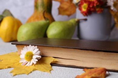 Photo of Book with autumn leaf and chamomile flower as bookmark on light gray table, closeup