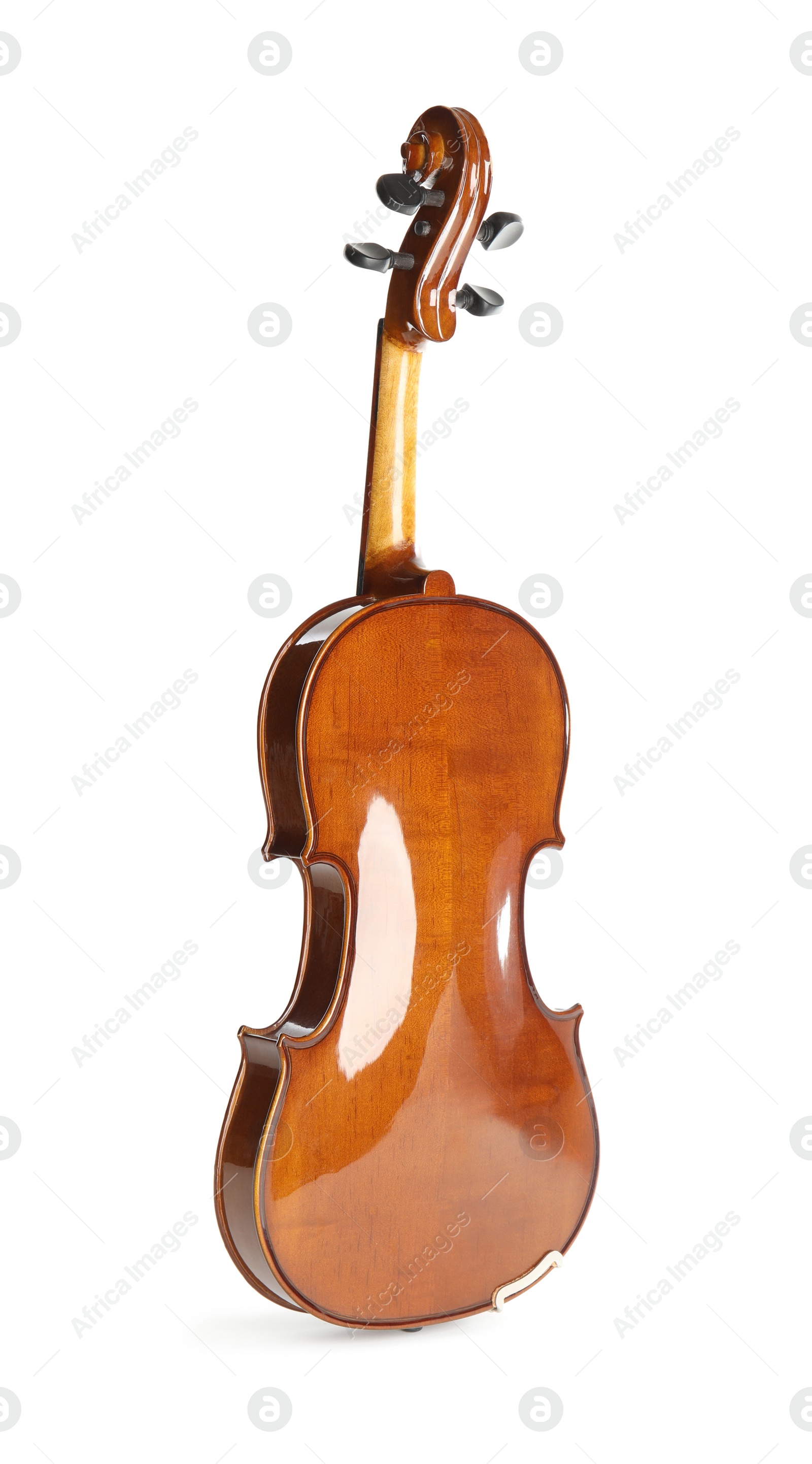 Photo of Classic violin isolated on white. Musical instrument