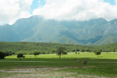 Photo of Picturesque view of mountains and green meadow