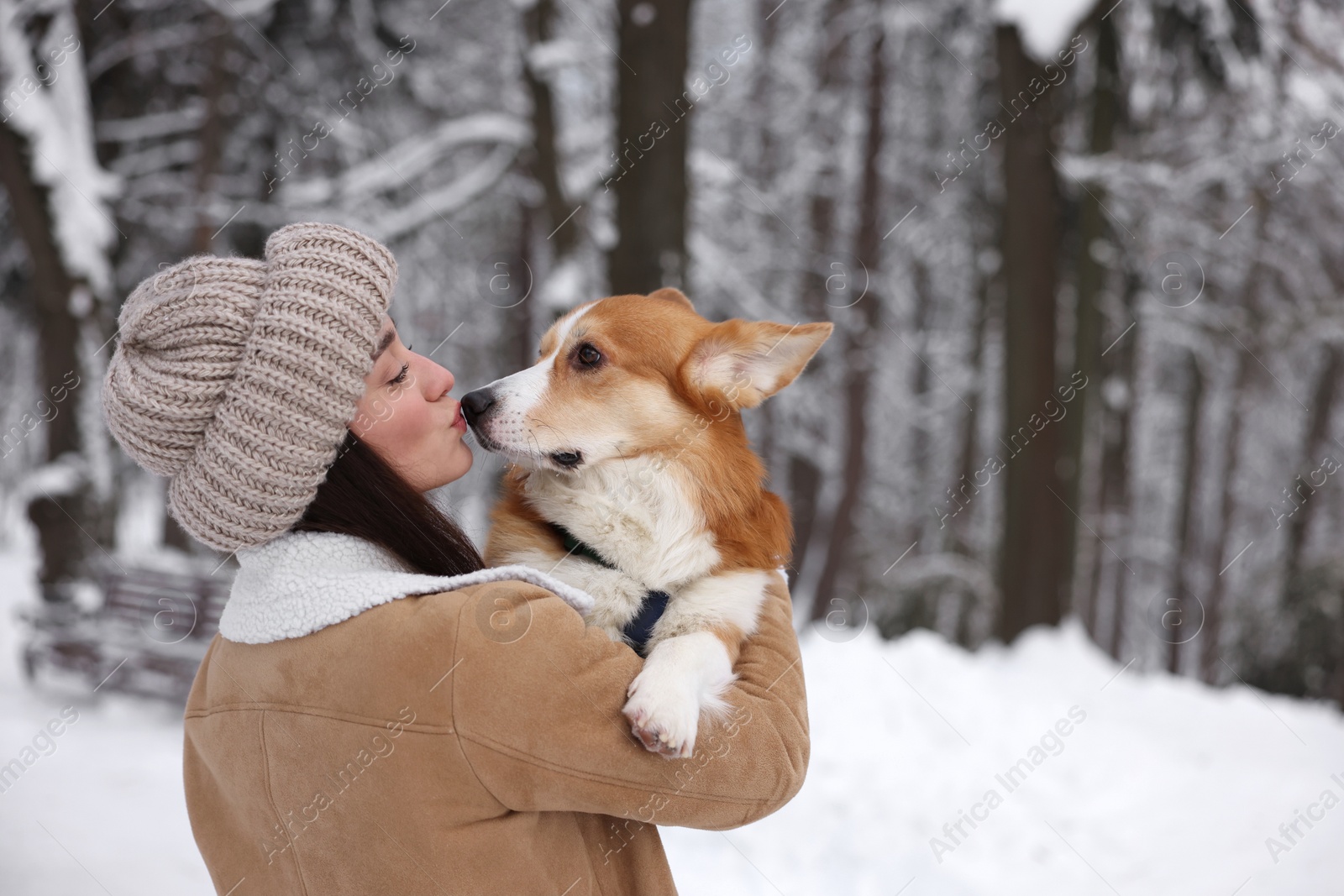 Photo of Woman with adorable Pembroke Welsh Corgi dog in snowy park, space for text