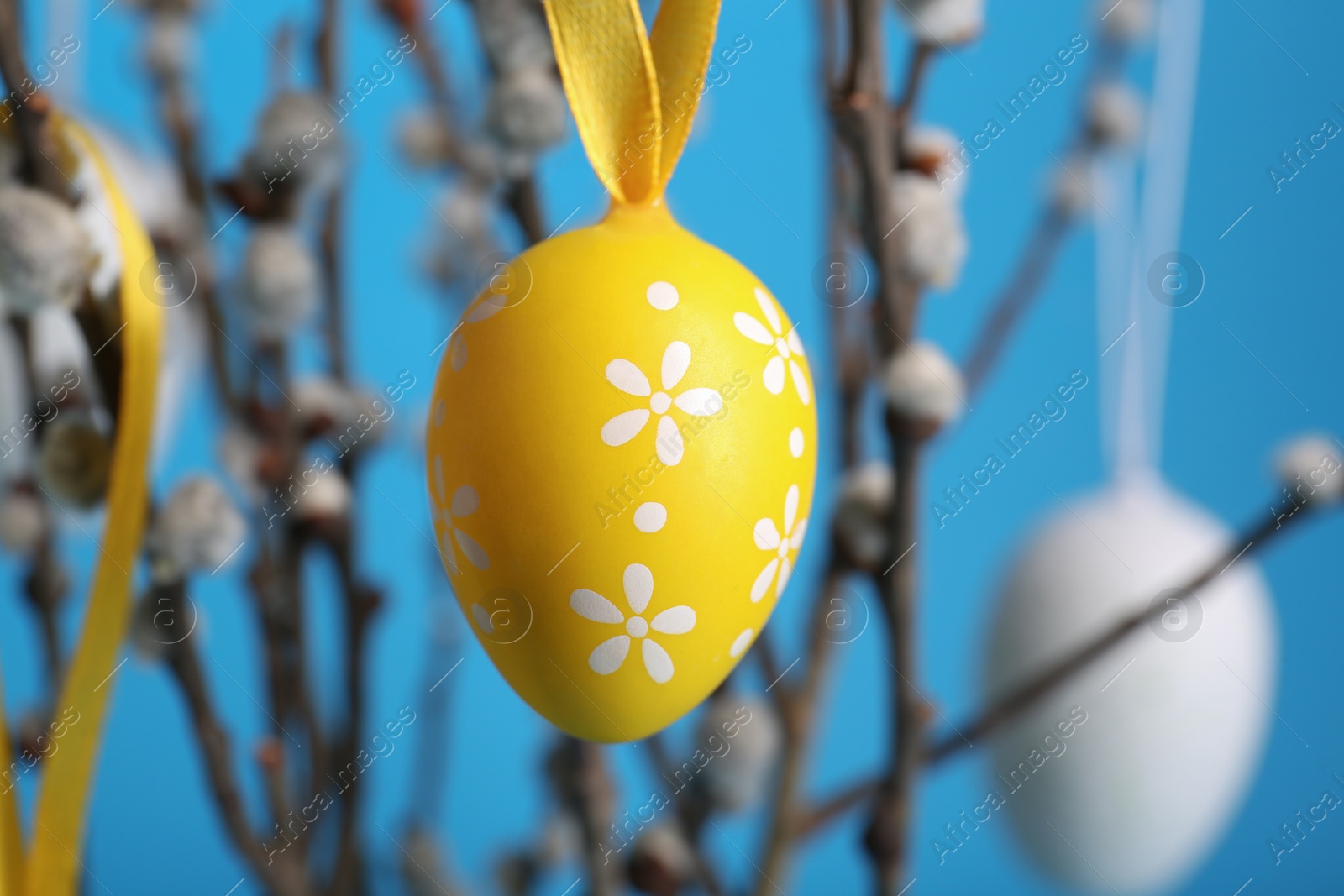 Photo of Beautiful willow branches with painted eggs on light blue background, closeup. Easter decor