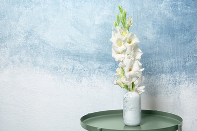Photo of Vase with beautiful gladiolus flowers on table against color background