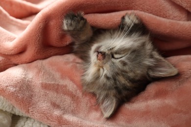Photo of Cute kitten sleeping in soft pink blanket