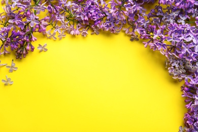 Photo of Blossoming lilac flowers on color background, flat lay. Space for text