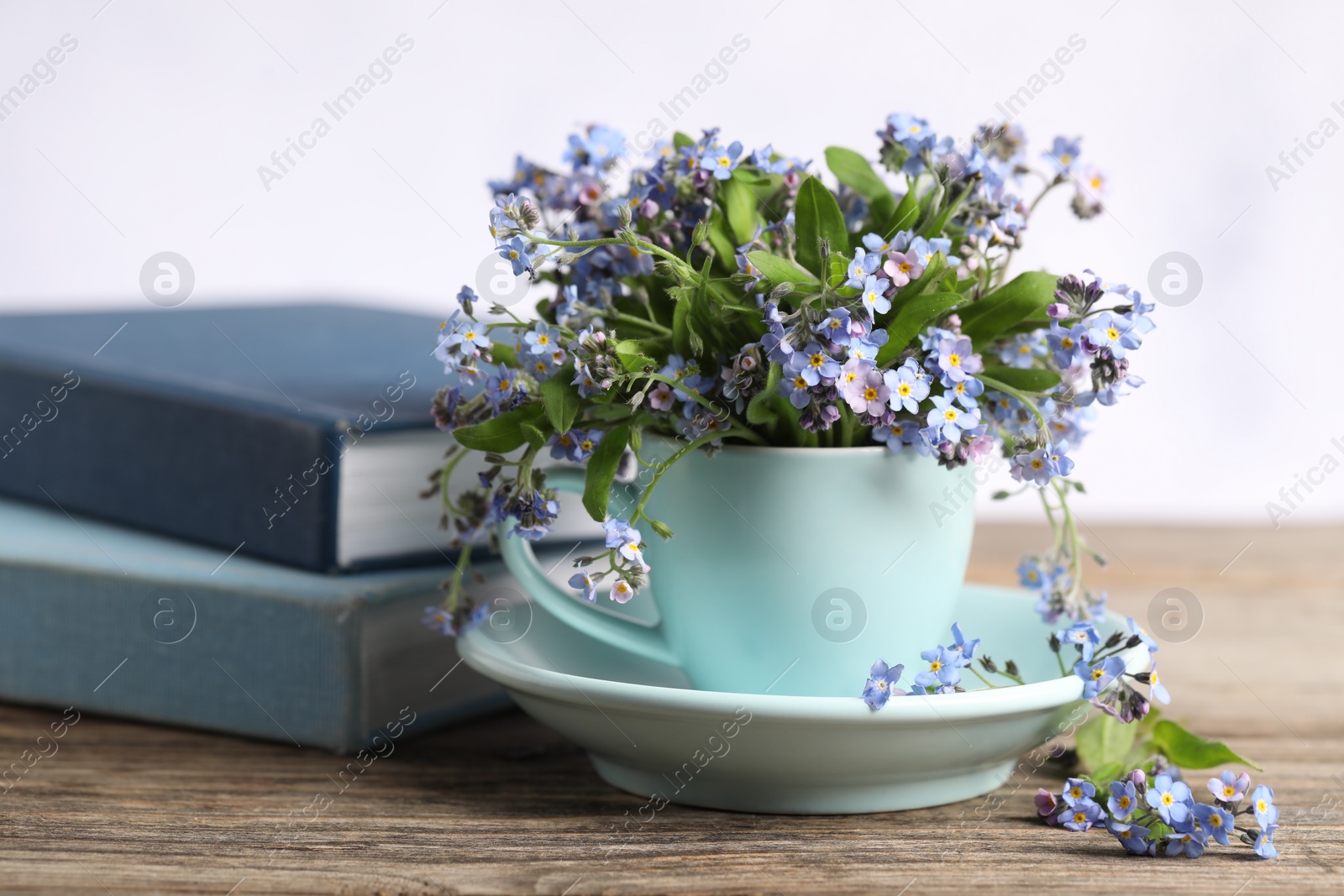 Photo of Beautiful forget-me-not flowers in cup, saucer and books on wooden table against light background, closeup