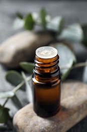 Photo of Bottle of eucalyptus essential oil and plant branch on table