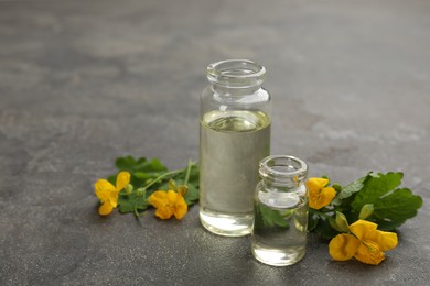 Photo of Bottles of natural celandine oil near flowers on grey stone table. Space for text