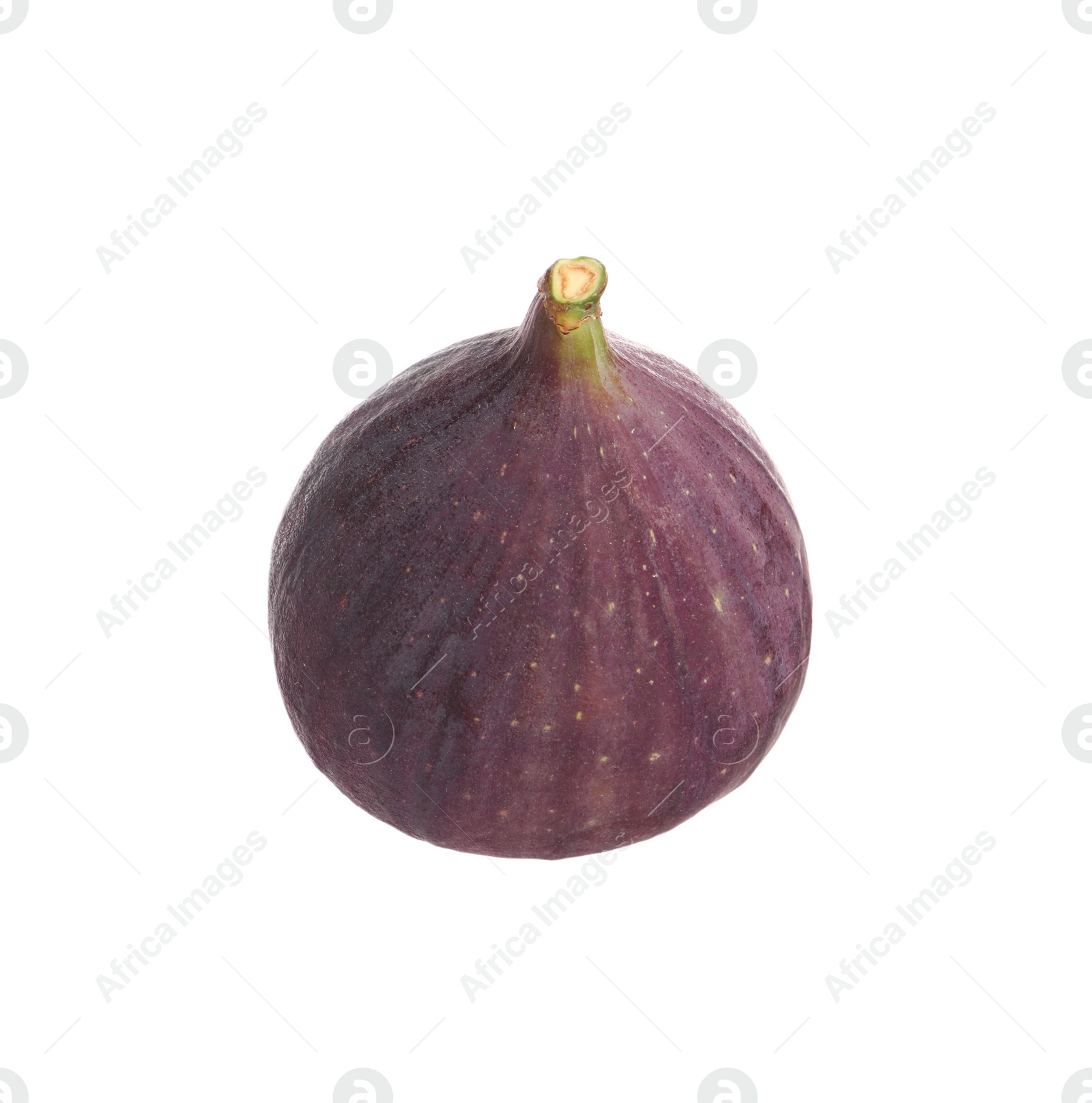 Photo of Whole ripe fresh fig isolated on white