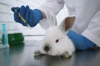 Photo of Scientist with syringe and rabbit in chemical laboratory, closeup. Animal testing