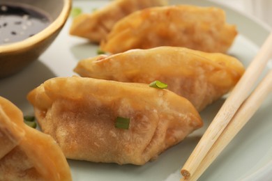 Photo of Delicious gyoza (asian dumplings) with green onions and chopsticks on plate, closeup