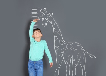 Cute little child measuring height near chalk giraffe drawing on grey background