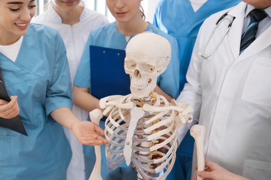 Photo of Professional orthopedist with human skeleton model teaching medical students, closeup