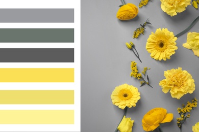 Image of Color of the year 2021. Beautiful yellow flowers on grey background, flat lay