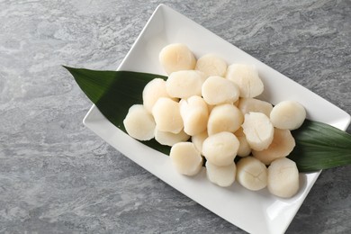 Photo of Fresh raw scallops on grey table, top view. Space for text