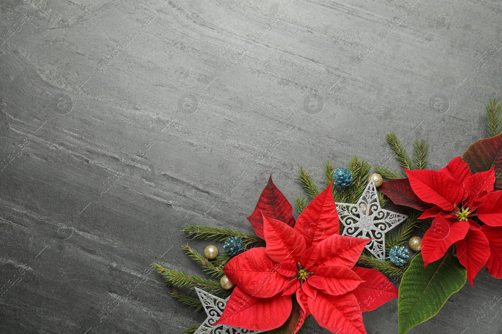 Photo of Flat lay composition with beautiful poinsettia on grey background, space for text. Christmas traditional flower