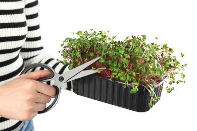 Photo of Woman cutting fresh organic radish microgreens on white background, closeup