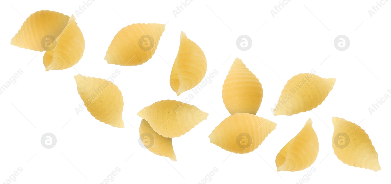 Image of Raw conchiglie pasta flying on white background