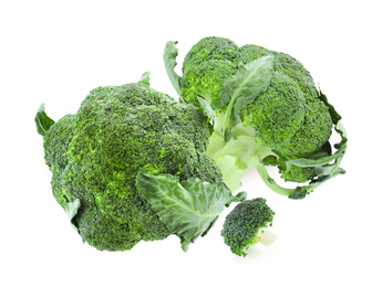 Fresh green broccoli on white background. Edible plant