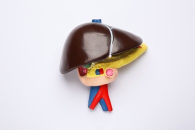 Photo of Model of liver on white background, top view