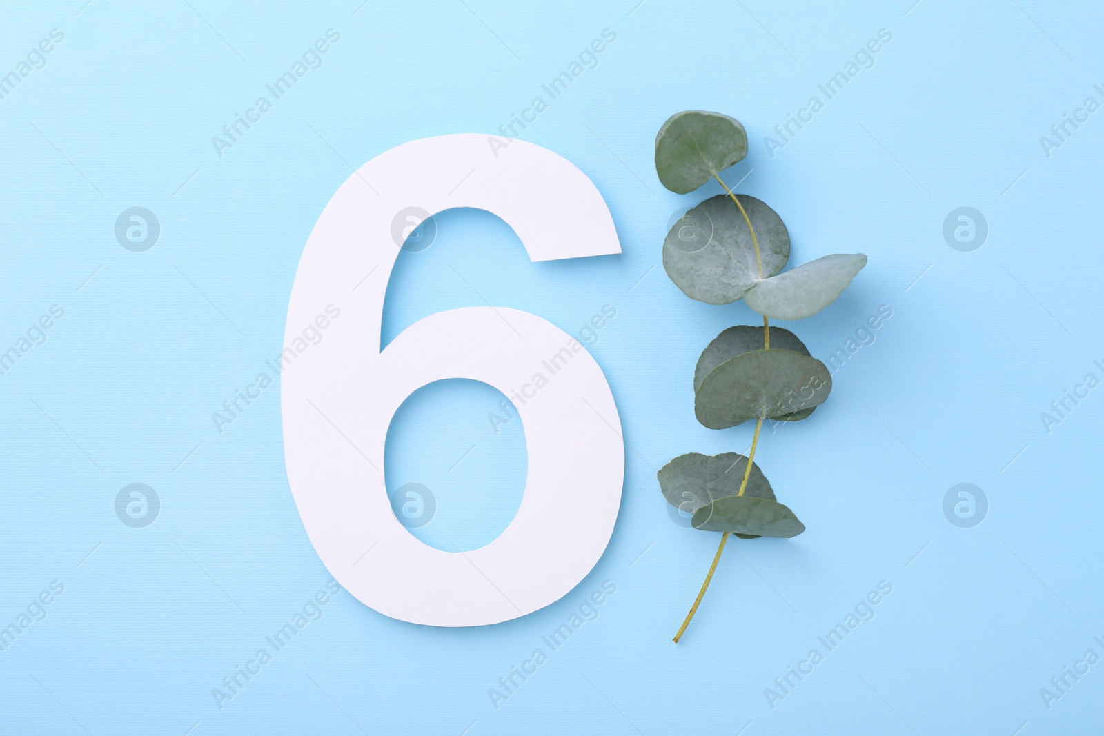 Photo of Paper number 6 and eucalyptus branch on light blue background, top view
