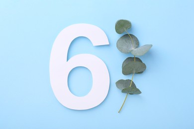 Paper number 6 and eucalyptus branch on light blue background, top view