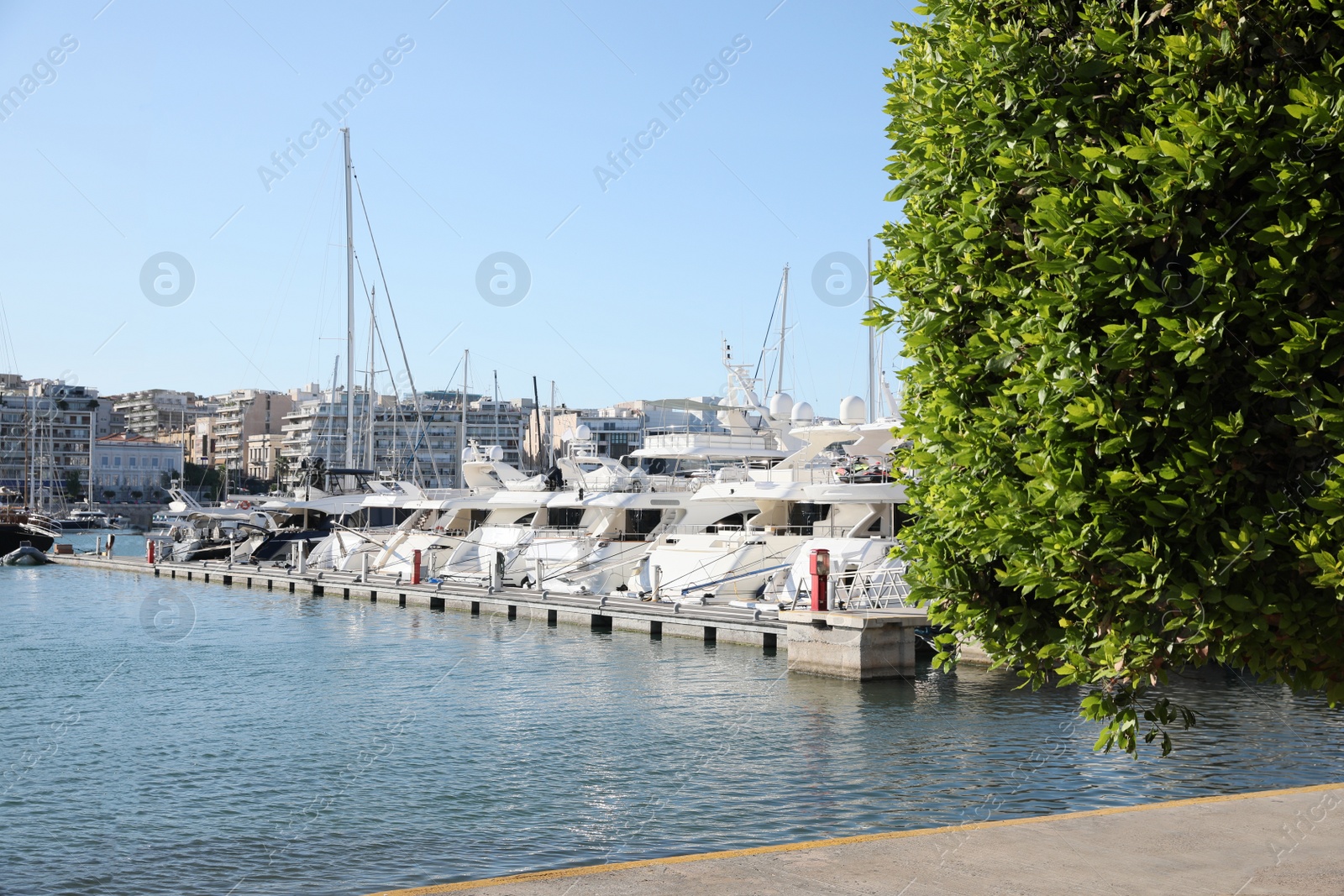 Photo of Picturesque view of port with modern boats on sunny day