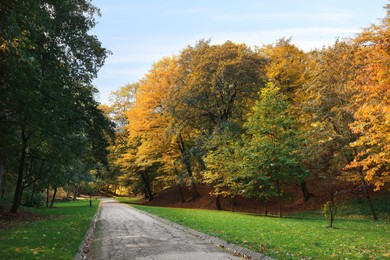 Photo of Pathway, green grass and trees in beautiful park on autumn day