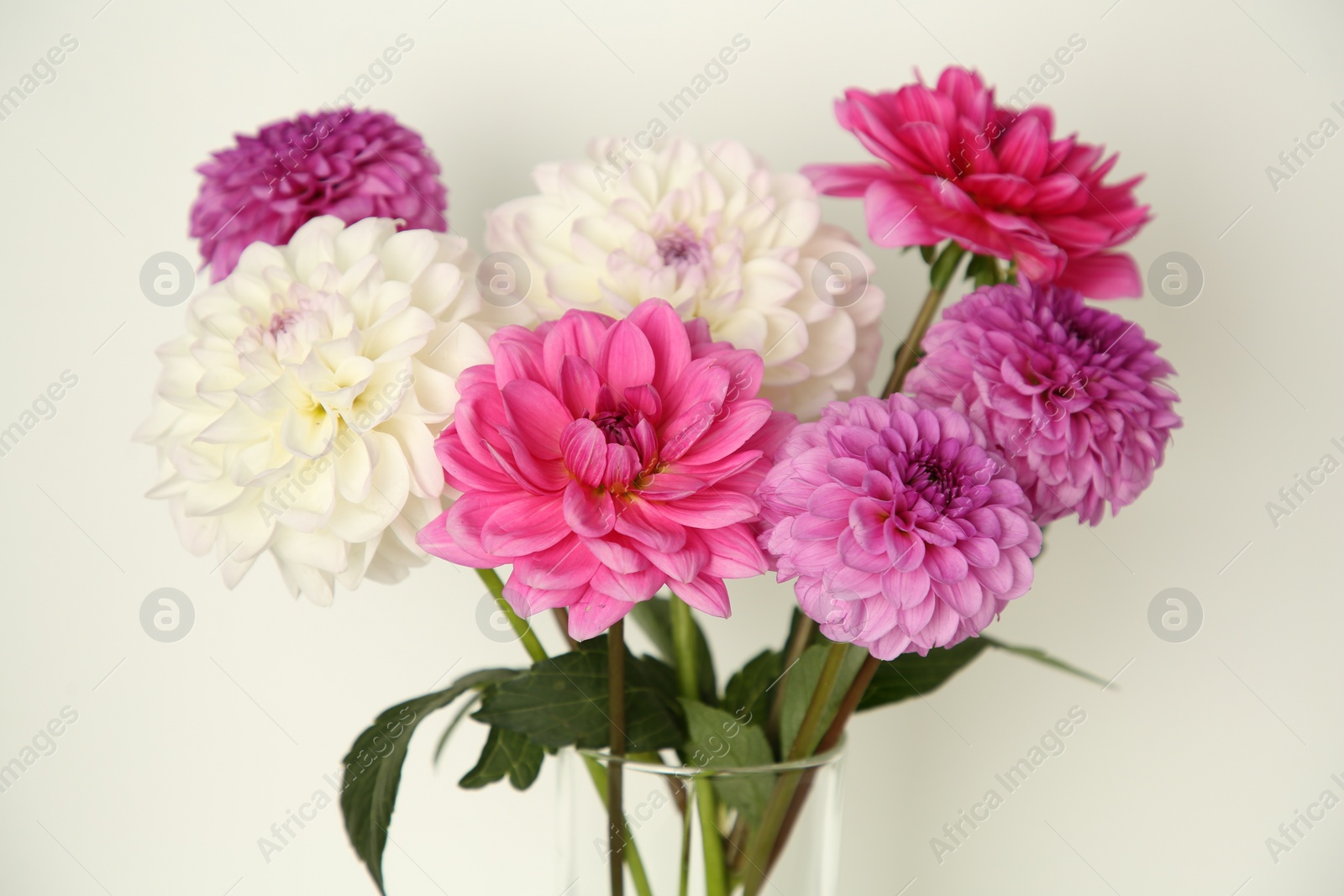 Photo of Bouquet of beautiful Dahlia flowers near white wall, closeup