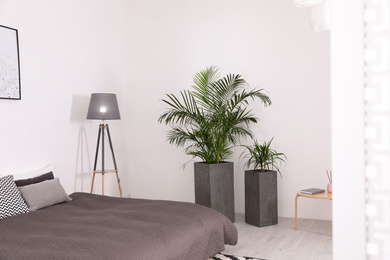 Photo of Beautiful interior of bedroom with potted plants