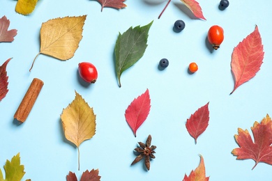Beautiful composition with autumn leaves on light blue background, flat lay