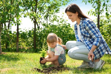 Mother and her daughter planting tree together in garden, space for text