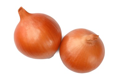 Two fresh onions on white background, top view