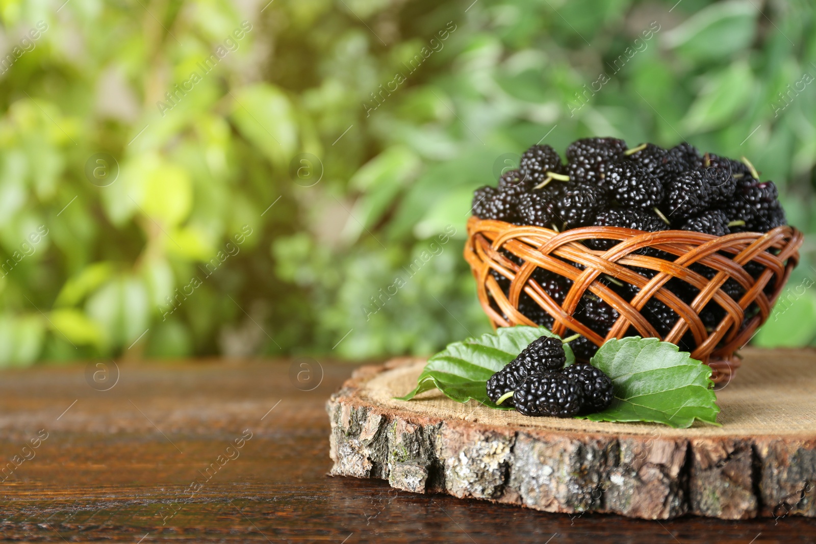 Photo of Fresh ripe black mulberries on wooden table against blurred background. Space for text