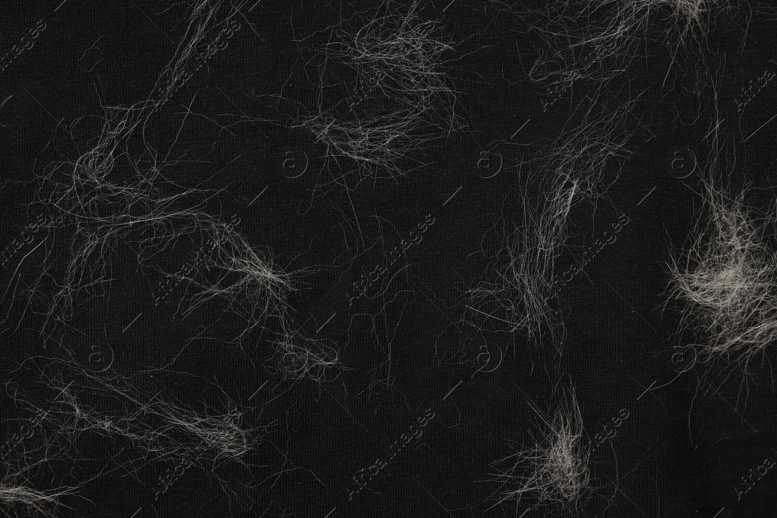 Photo of Pet hair on black fabric, top view