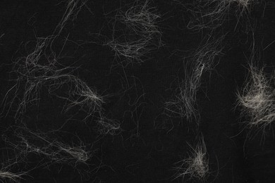 Photo of Pet hair on black fabric, top view