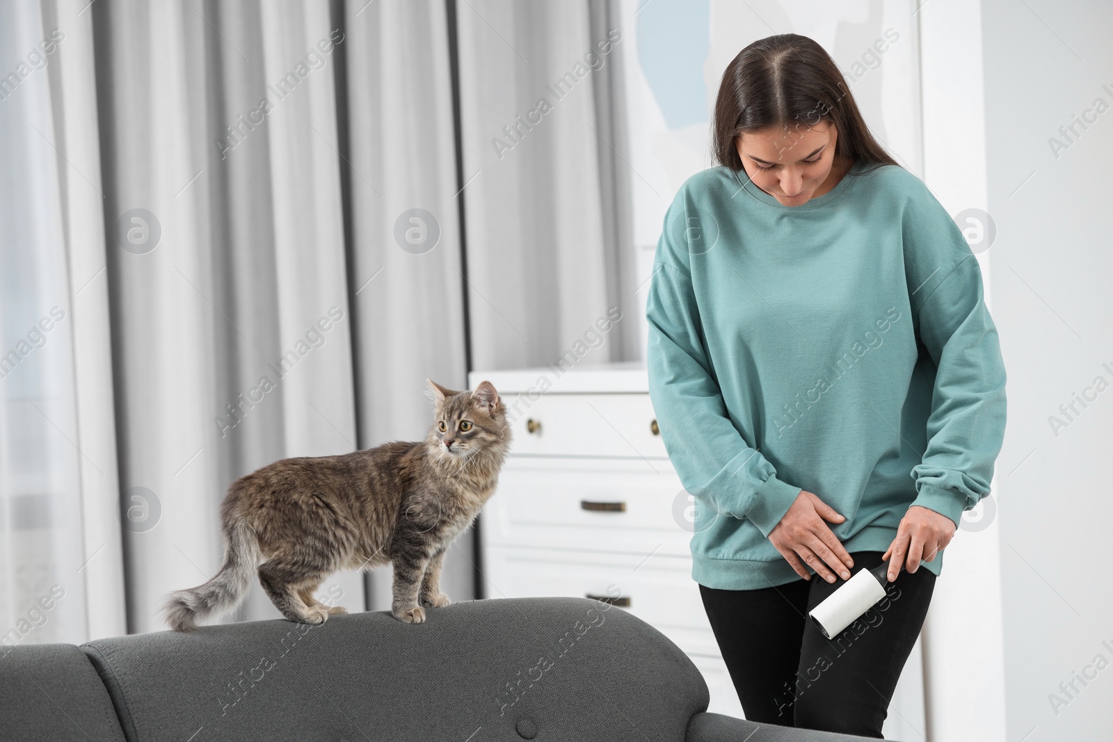 Photo of Pet shedding. Woman with lint roller removing cat`s hair from trousers at home